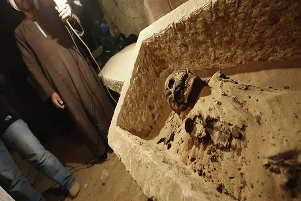 بالصور.. العثور على أقدم 