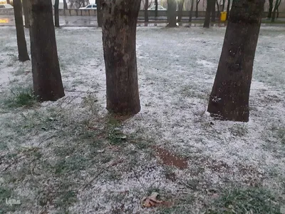 بارش برف زمستانی در اهر