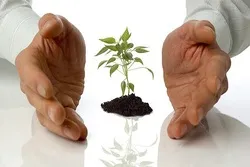 ما هی أهم مجالات التربية الدينية؟
