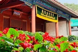 Célébration des prières de l'Aïd dans les mosquées de Pékin