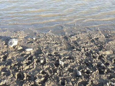 وضعیت بحرانی آب در برخی سدهای اهر