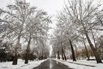 دانشگاه ارومیه در یک روز برفی‎