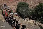 آیین سنتی «نخل‌گردانی» در روستای ابیانه نطنز