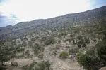 آخرین وضعیت روستاهای زلزله زده اندیکا