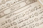 «تکاثر» به چه معناست