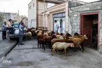مراسم پرده خوانی و احیاء واقعه غدیر خم در روستاهای اهر