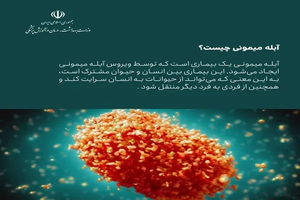 8 حقیقت که باید در مورد آبله میمونی بدانیم