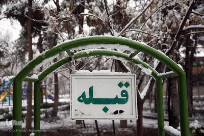 بارش برف زمستانی در تهران