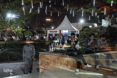 میهمانی رضوی