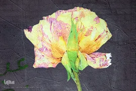 هنرهای محیطی نوروز ۹۶ در تهران