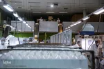 شرکت سرم سازی ثامن آستان قدس رضوی
