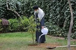 বৃক্ষরোপণ সদকায়ে জারিয়া; মৃত ব্যক্তির কাছে সওয়াব পৌঁছাতে থাকে: সর্বোচ্চ নেতা