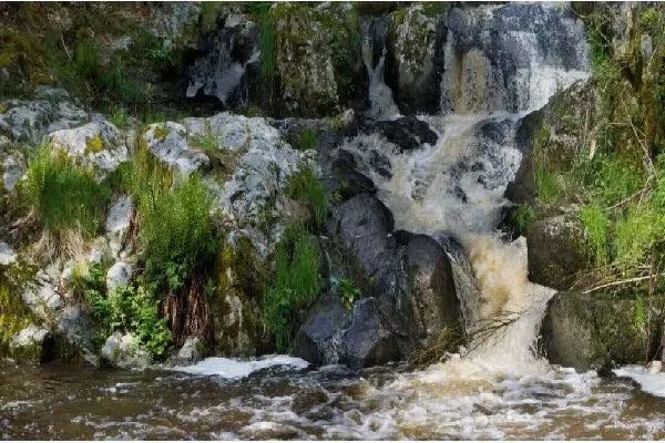 A quoi font allusion les quatre cours d’eau du paradis ?