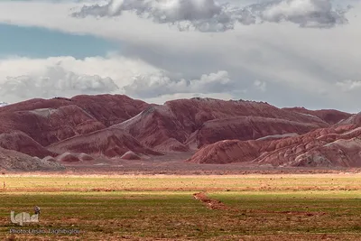 آلا داغلار، رنگین کمانی روی زمین‎‎