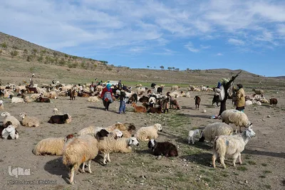 روستای تاریخی نامِق
