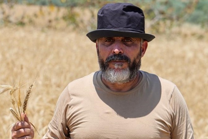 İsrail askerleri, Lübnan'da işgal altındaki bölgelerde çiftçileri ateş açarak hasattan mahrum bırakıyor