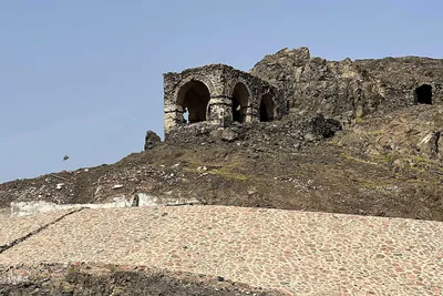 زیارت دوره زائران در مدینه منوره