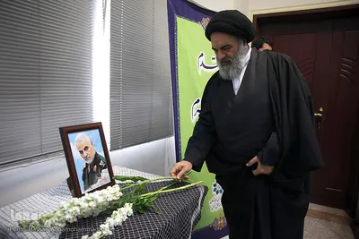  آیت الله سید محمد حسینی شاهرودی، عضو مجلس خبرگان رهبری