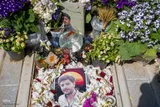 شکوفه‌های بهاری بر مزار یاران سفر کرده