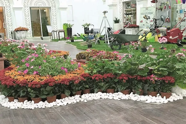 Umman ilaç konferansında Kur'anda adı geçen tıbbi bitkiler