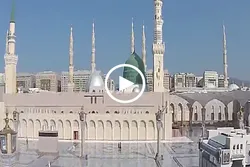 دنیا کے علمی میدان کی شاہکار علمی شخصیت کی ویران قبر