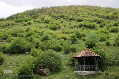 طبیعت بهاری شهرستان اهر در یک نگاه