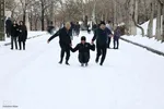 بارش اولین برف پاییزی در تبریز‎