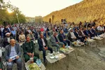 جشنواره شیره پزی ملایر