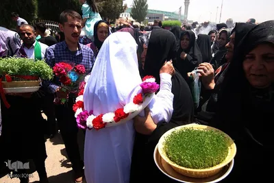 بازگشت حجاج همدانی به میهن اسلامی