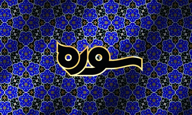 کارنامه قرآنی ابولکلام آزاد در برنامه امشب «سوره»