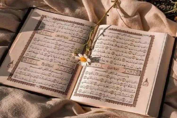 وحدة المسلمين تتکون حول محور الولاية