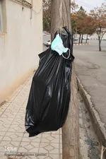 رهاسازی ماسک‌ها و دستکش‌ها در معابر شهر اهر