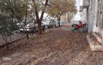 طبیعت پاییزی یزد در قاب تصویر