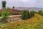 اردیبهشت باغ گل های شیراز‎‎