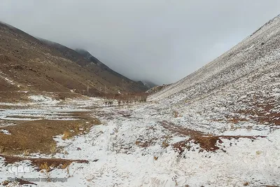 طبیعت زمستانی شهمیرزاد در آخرین روزهای پاییز