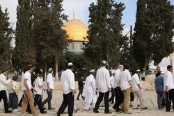 Extremist Settlers Keep Storming Al-Aqsa Mosque Compound in Al-Quds 