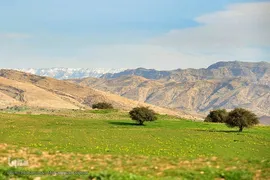 پیوند انسان و طبیعت در اندیکا