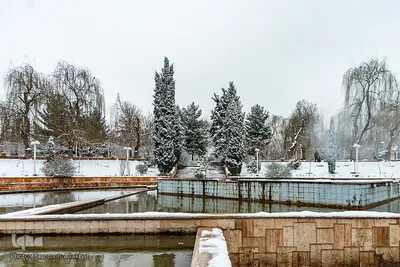بارش برف در کرج‎